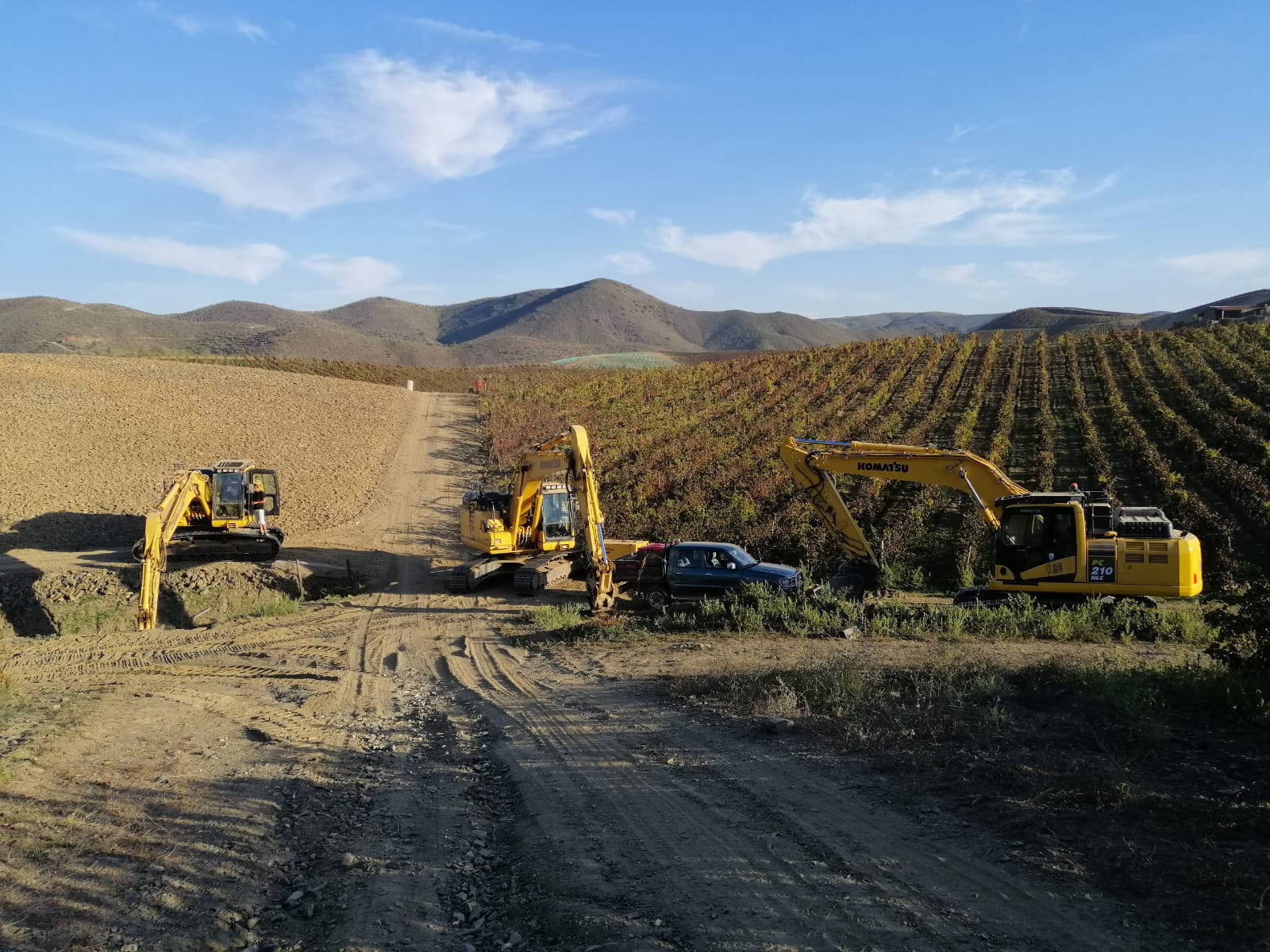 Surriba Vinha ao alto exemplo 3