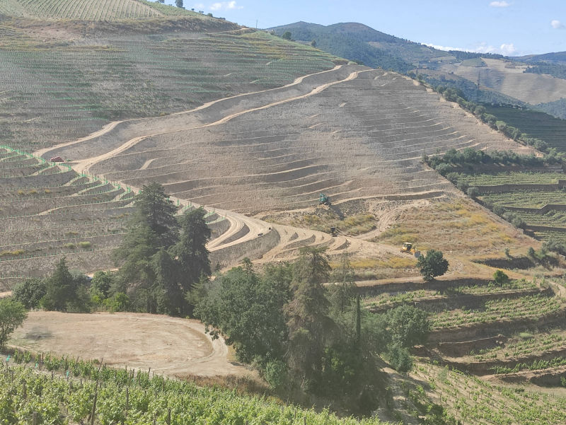 Micropatamares Bom Retiro