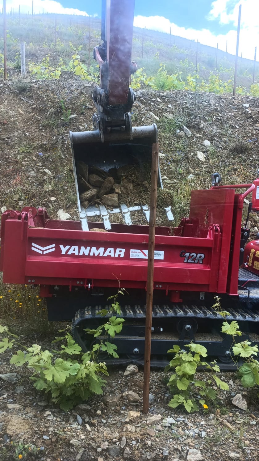 Dumper C12R-C
