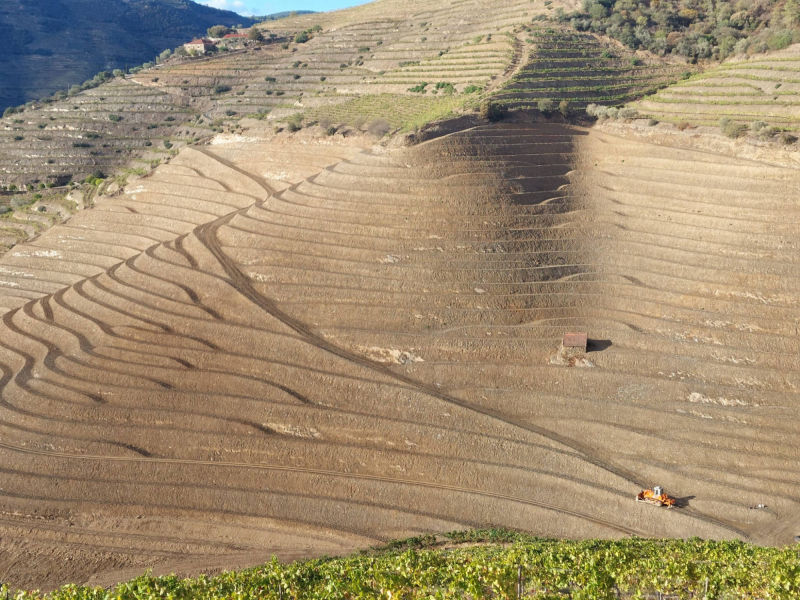 Patamares de 1 bardo