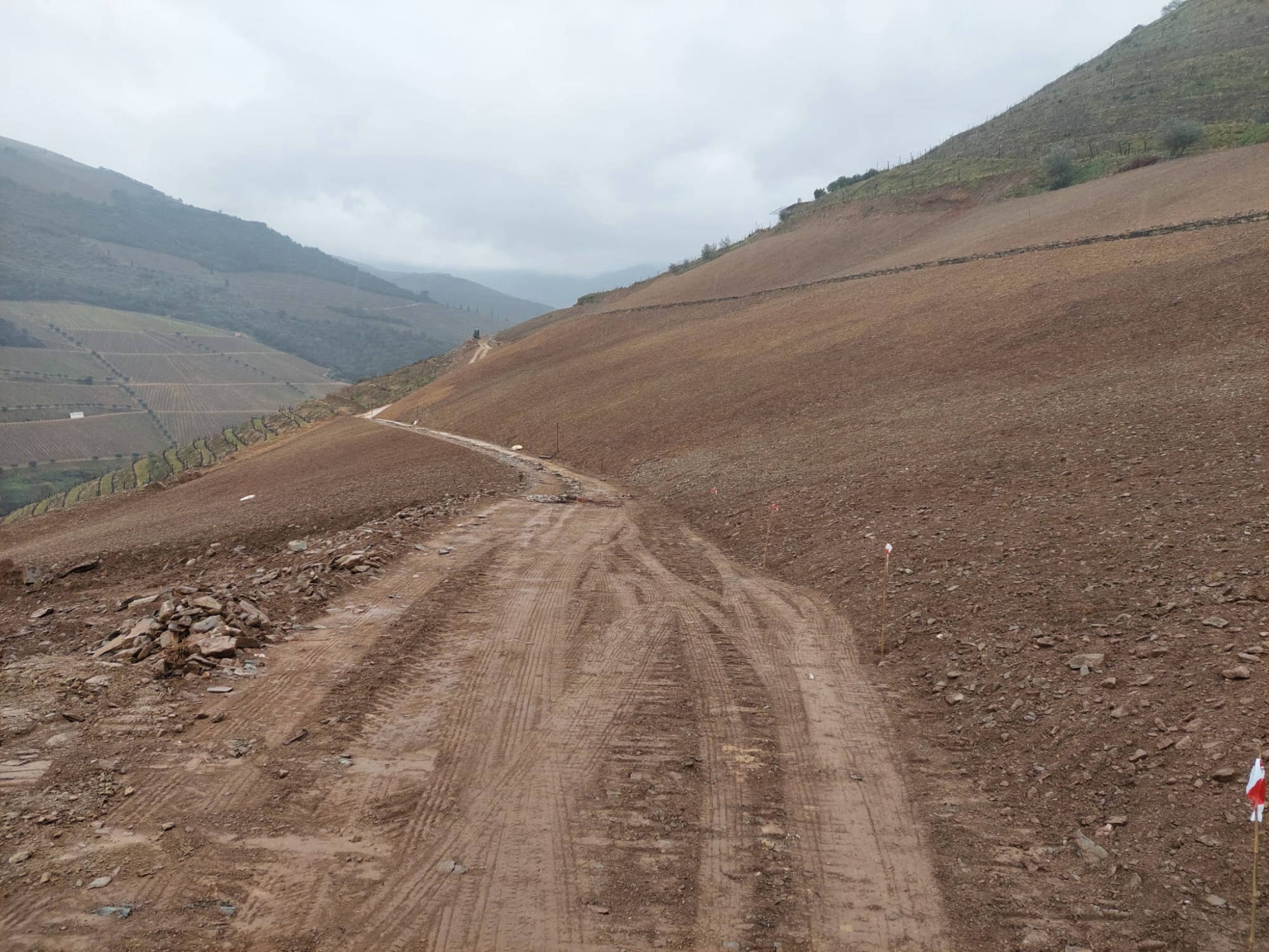 Vinha tradicional exemplo 2